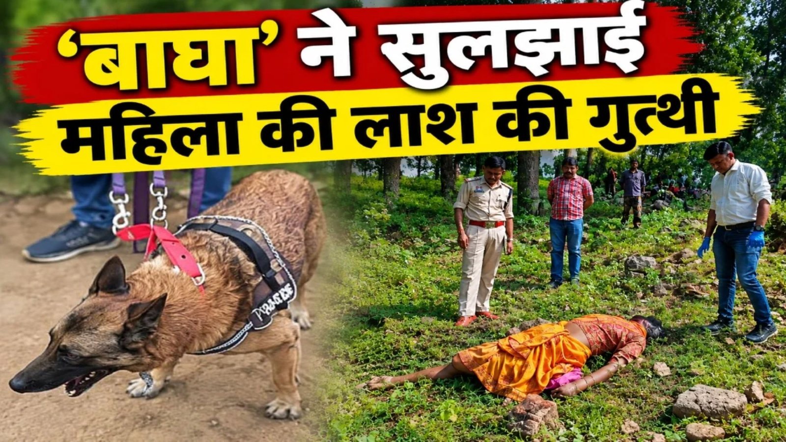 Korba News: खेत के पास महिला की लाश मिलने से मचा हड़कंप, डॉग स्क्वॉड की मदद से पड़ोसी निकला हत्यारा