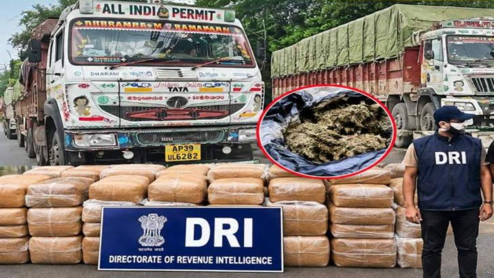 Raipur News : सड़क, रेल और हवाई रास्ते से गांजा तस्करी का खुलासा, DRI की कार्रवाई में करोड़ों का नशा जब्त