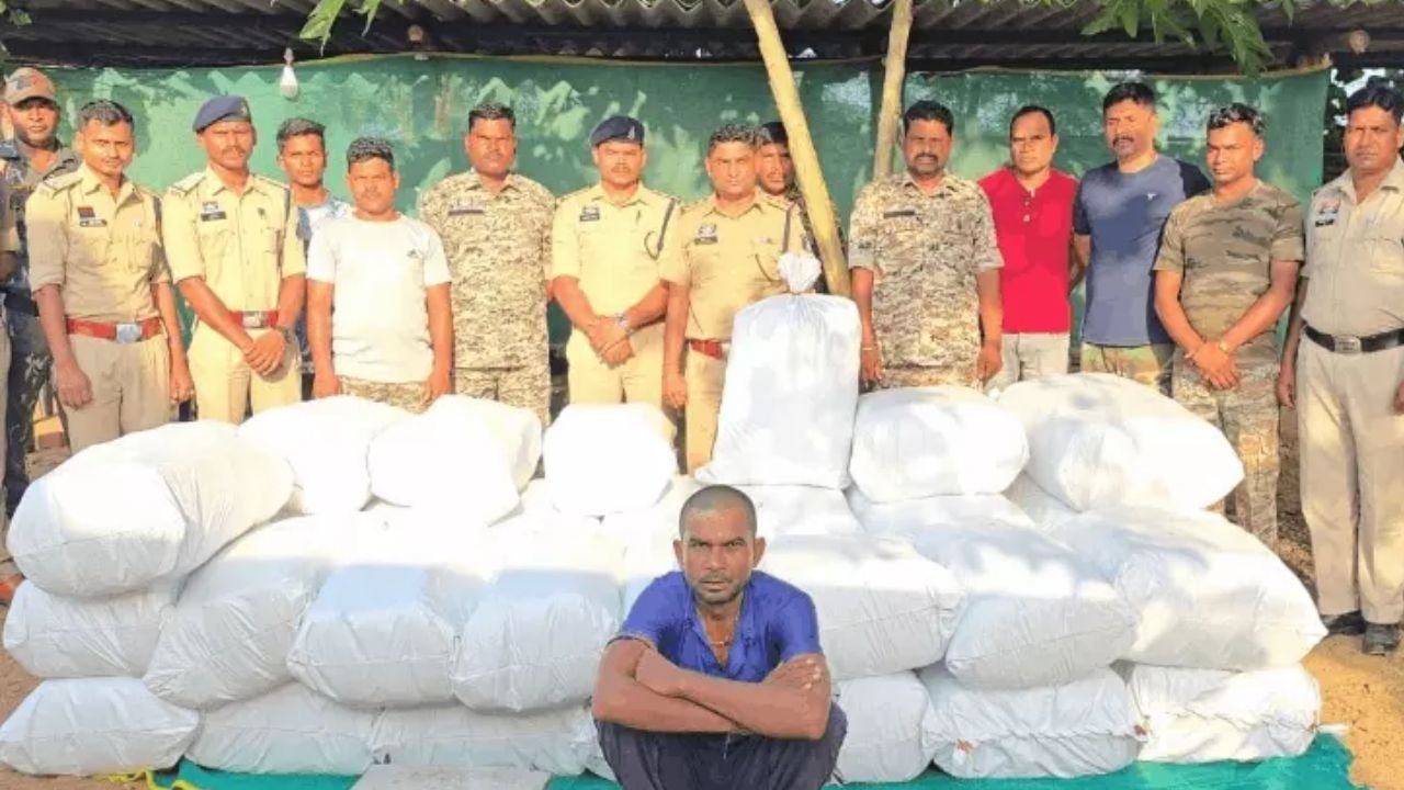 Jashpur Ganja Seized: जशपुर में फिर पकड़ा गया गांजा, मिनी ट्रक से 632 किलो से अधिक मादक पदार्थ बरामद, एक आरोपी गिरफ्तार