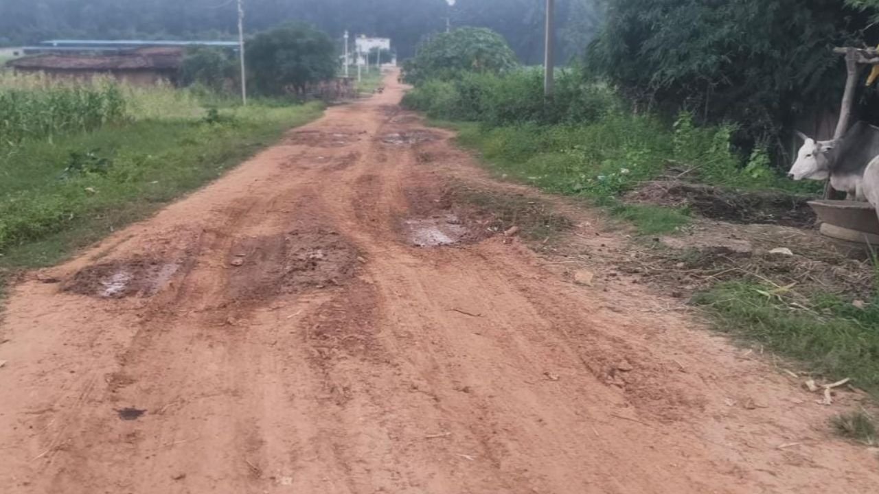 Balrampur News: भेंडरी में ‘मुरमीकरण’ पर सवाल, कागजों में सड़क तैयार तो धरातल पर काम नदारद होने का आरोप