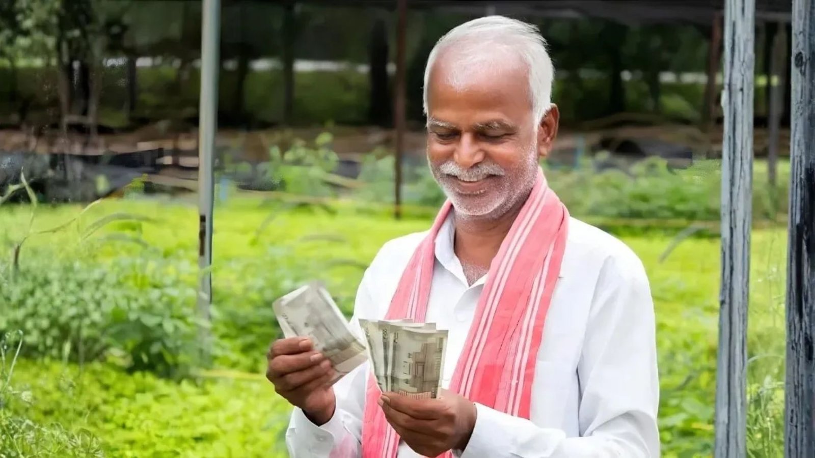 PM-Kisan 24th Installment : 9.34 करोड़ किसानों को मिला आर्थिक लाभ, 24वीं किस्त के तहत ट्रांसफर हुए करीब ₹19,000 करोड़