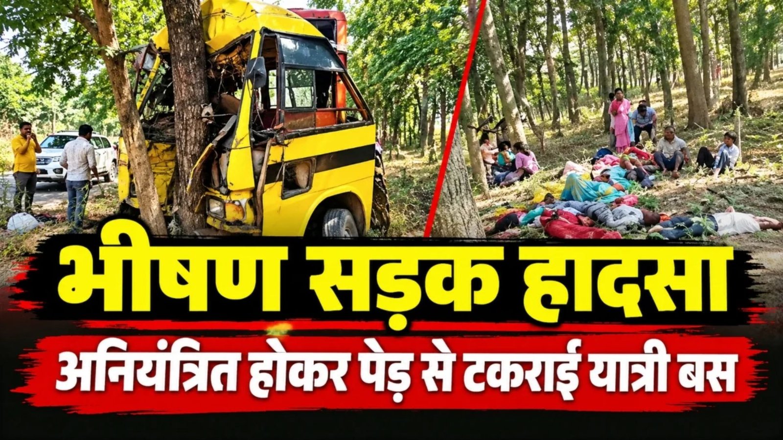 Manendragarh Latest News: केल्हारी में भीषण सड़क हादसा, पेड़ से टकराई यात्री बस, चालक की मौत और 15 से ज्यादा घायल