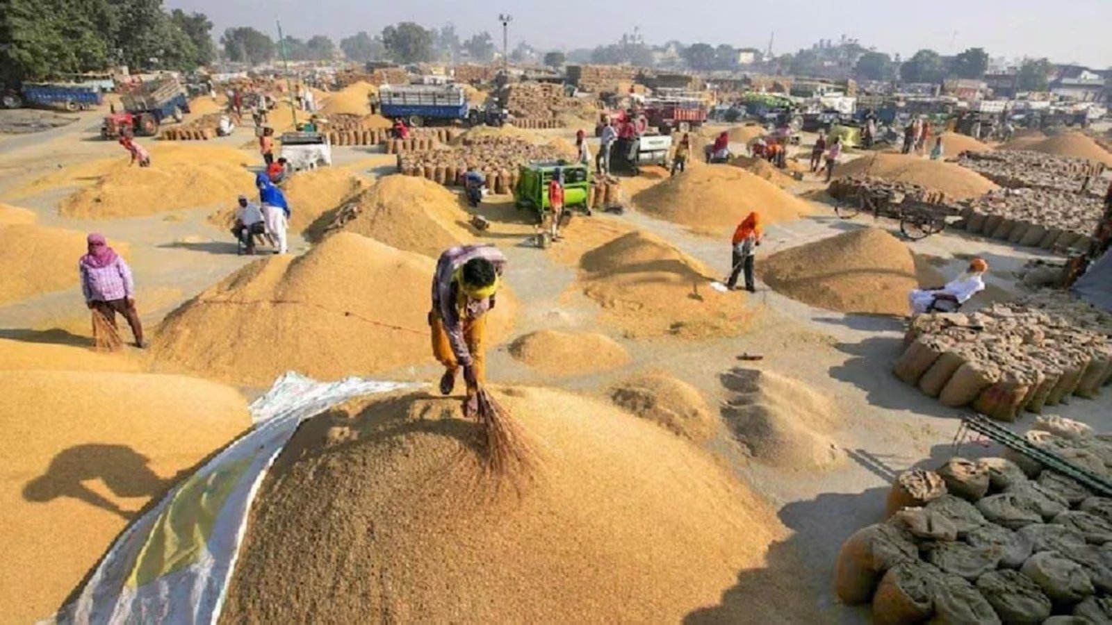 CG Dhan Kharidi Latest News: धान खरीदी 2026-27 की तैयारी शुरू, संयुक्त खातों में खेती करने वाले किसानों को मिली बड़ी सुविधा