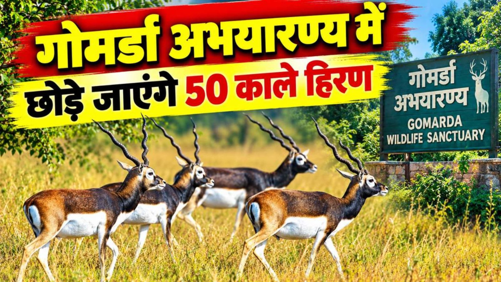 Sarangarh-Bilaigarh News: वन्यजीव संरक्षण के साथ ग्रामीण अर्थव्यवस्था को मजबूत करने की तैयारी, गोमर्डा में पर्यटन विकास पर जोर