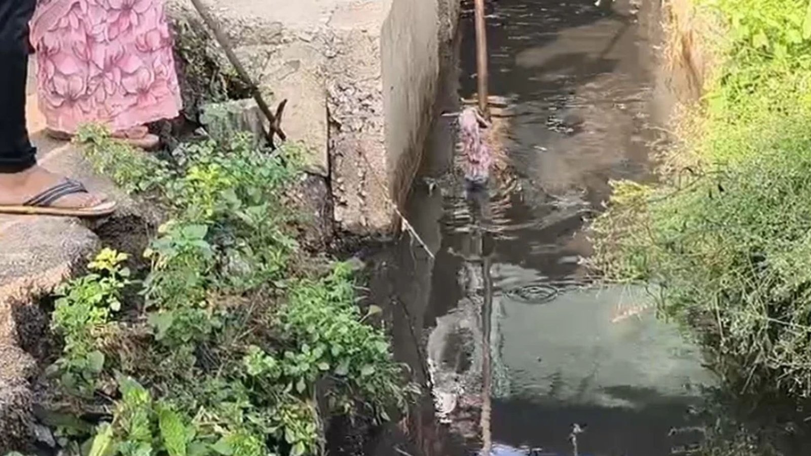 Raipur Latest News: गोबरा नवापारा में भ्रूण मिलने का मामला, गर्भपात के बाद फेंके जाने की आशंका; जांच जारी