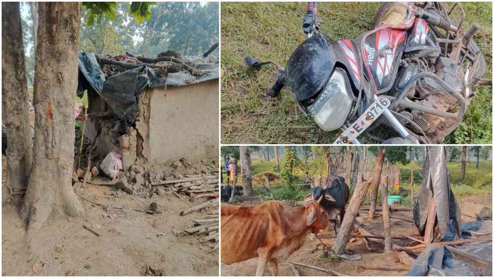Mungeli Latest News: हाथियों के उत्पात से ग्रामीणों में डर, प्रभावित परिवार ने मुआवजे की मांग की; वन विभाग ने शुरू किया नुकसान का आकलन